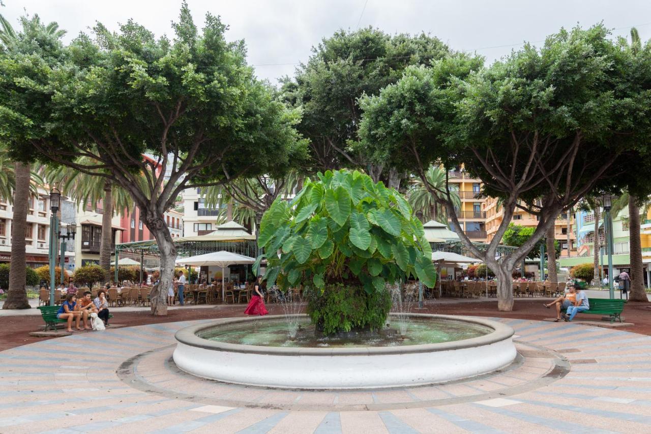 Magnolia House Apartment Puerto de la Cruz  Exterior photo